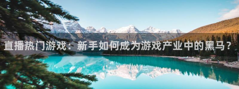 多彩娱乐2首页登录：直播热门游戏：新手如何成为游戏产业中的黑