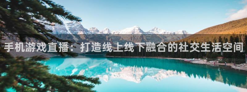 多彩娱乐网页登录入口：手机游戏直播：打造线上线下融合的社交生