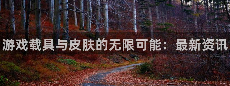 多彩娱乐平台登录线路：游戏载具与皮肤的无限可能：最新资讯