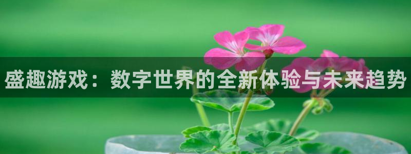 多彩娱乐注册地址：盛趣游戏：数字世界的全新体验与未来趋势