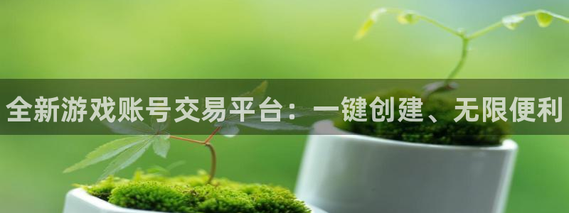 多彩娱乐怎么注册：全新游戏账号交易平台：一键创建、无限便利