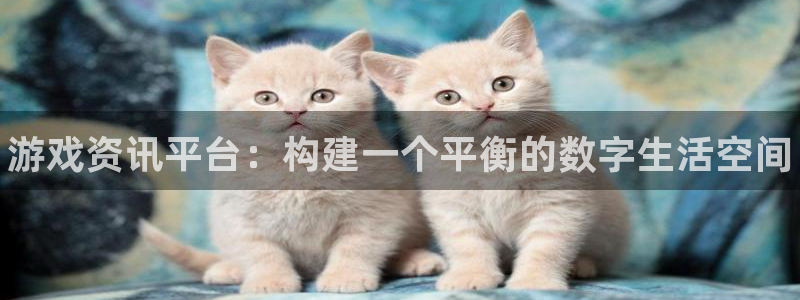 多彩娱乐什么意思：游戏资讯平台：构建一个平衡的数字生活空间