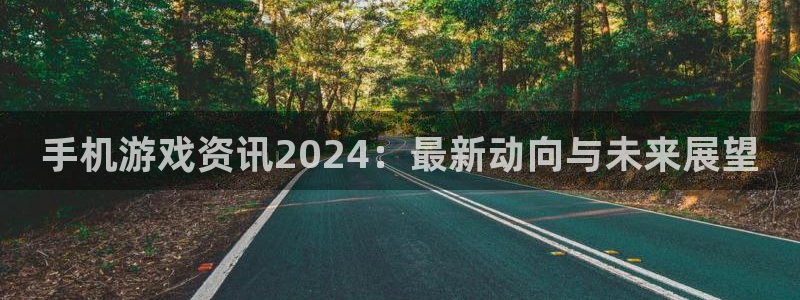 多彩娱乐Ii：手机游戏资讯2024：最新动向与未来展望