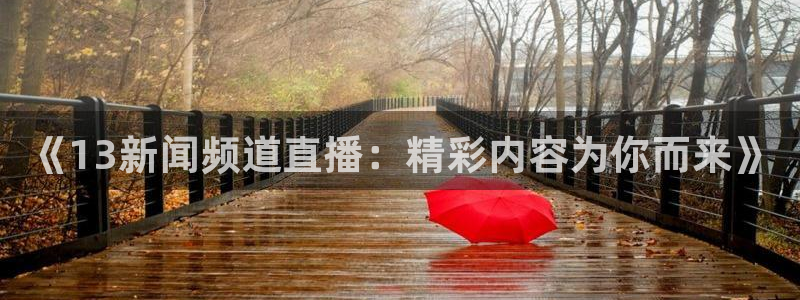 雨燕360体育免费观看赛事：《13新闻频道直播：精彩内容为你而来》