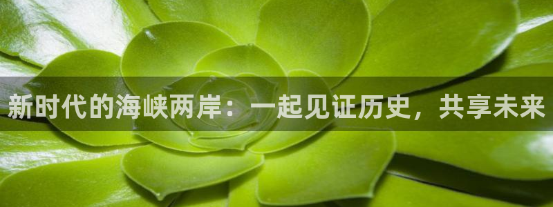 雨燕360体育免费直播足球：新时代的海峡两岸：一起见证历史，共享未来
